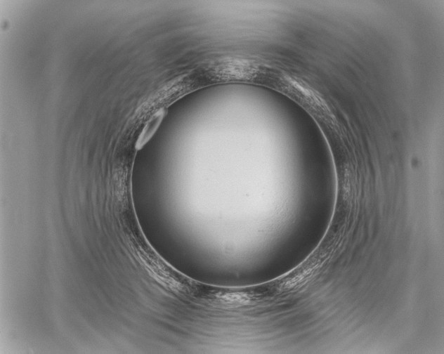 X0000059820409200510241400