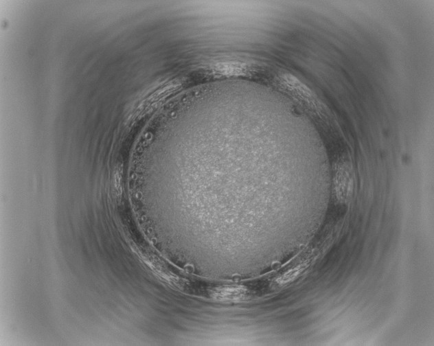 X0000059820410200510241400