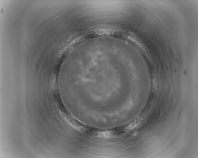 X0000059820411200510241400