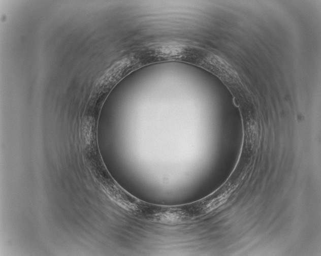 X0000059820412200510241400