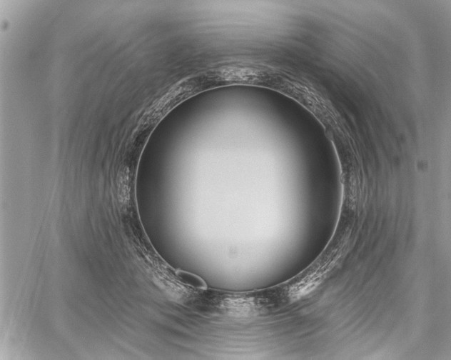 X0000059820413200510241400