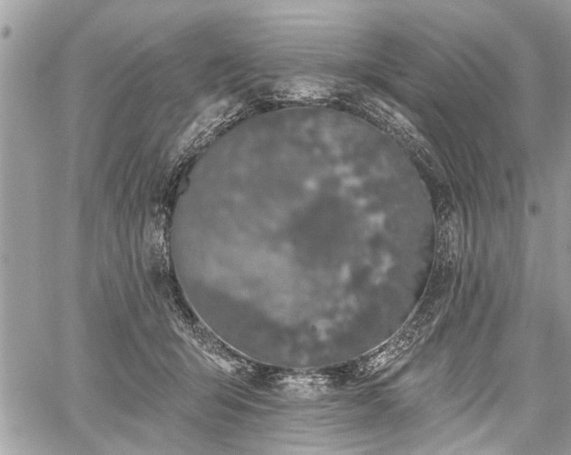 X0000059820415200510241400