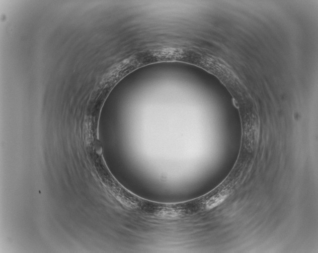 X0000059820416200510241400