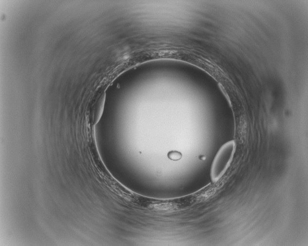 X0000059820417200510241400