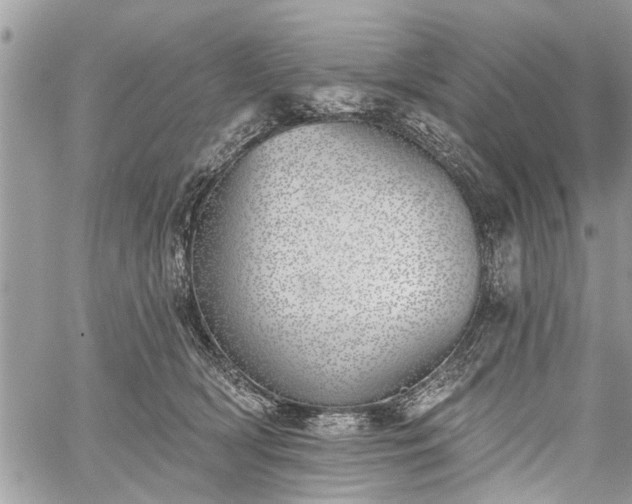 X0000059820418200510241400