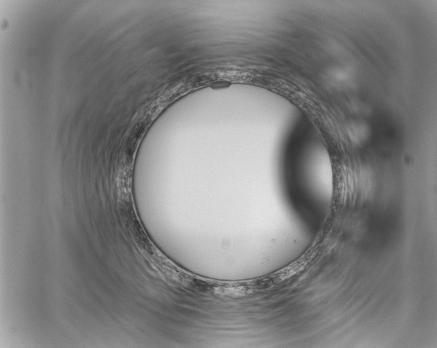 X0000059820419200510241400