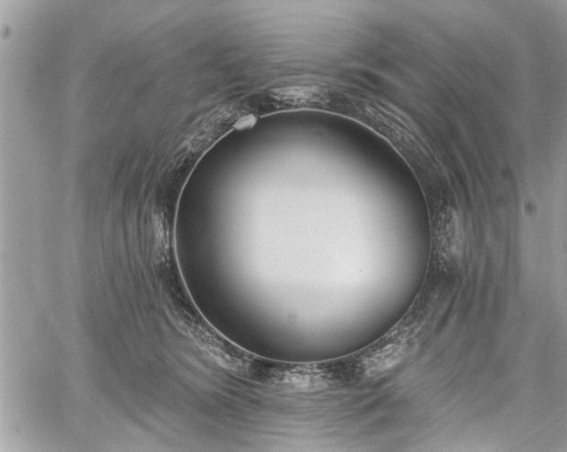 X0000059820420200510241400