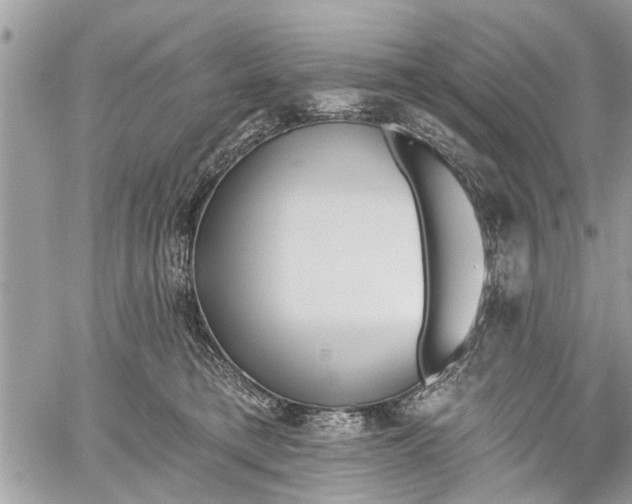 X0000059820421200510241400