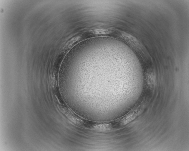 X0000059820422200510241400