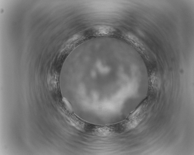 X0000059820423200510241400