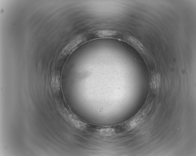 X0000059820426200510241400