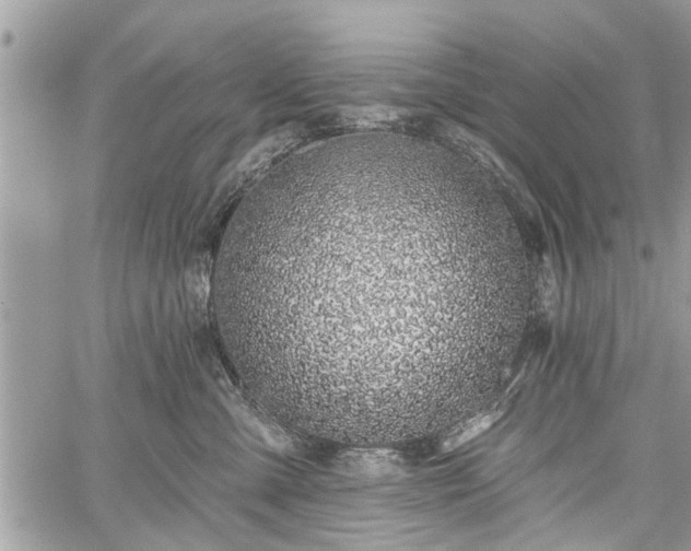 X0000059820427200510241400