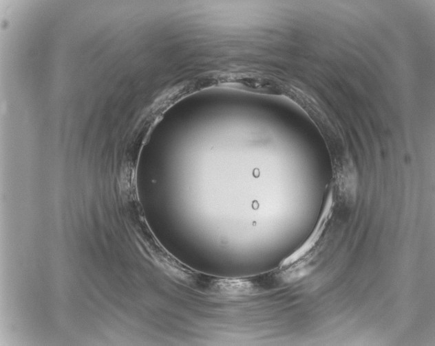 X0000059820429200510241400