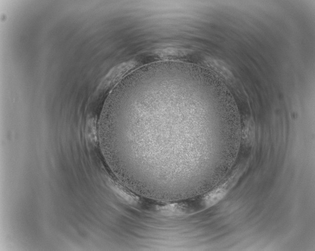 X0000059820430200510241400