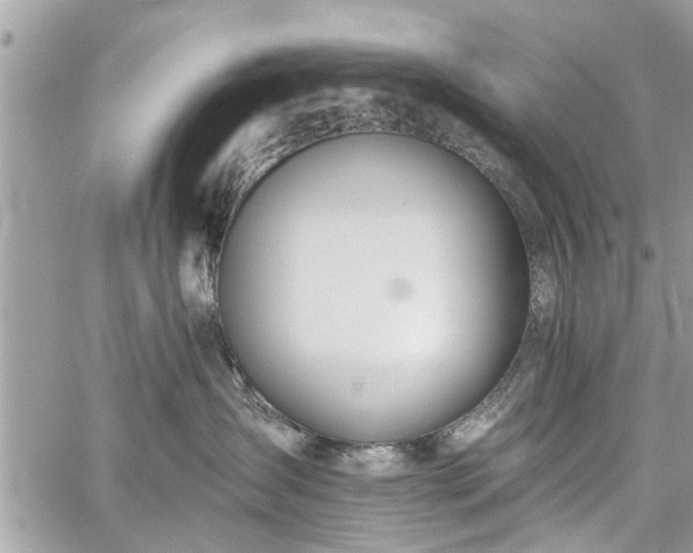 X0000059820431200510241400