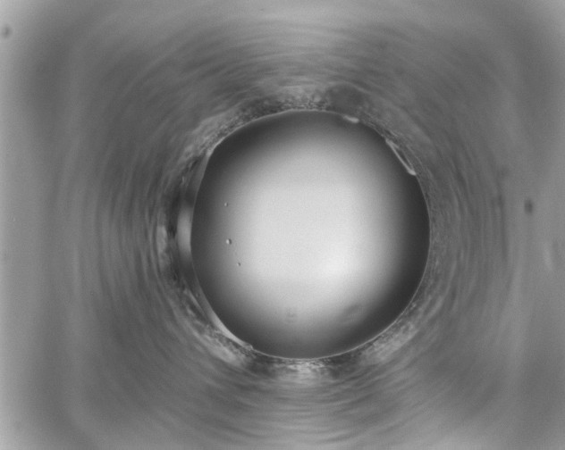 X0000059820432200510241400