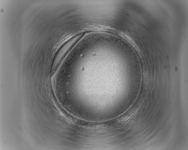 X0000059820433200510241359