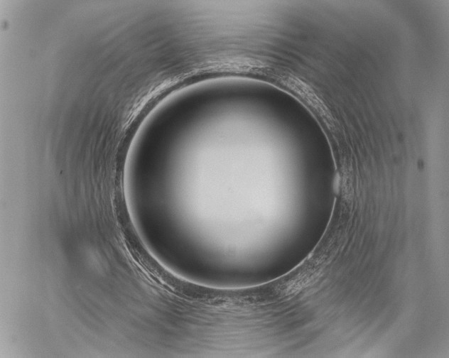 X0000059820434200510241359