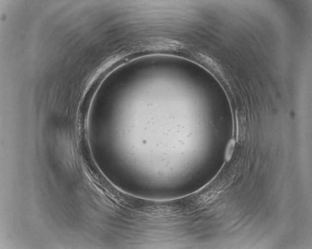 X0000059820435200510241359