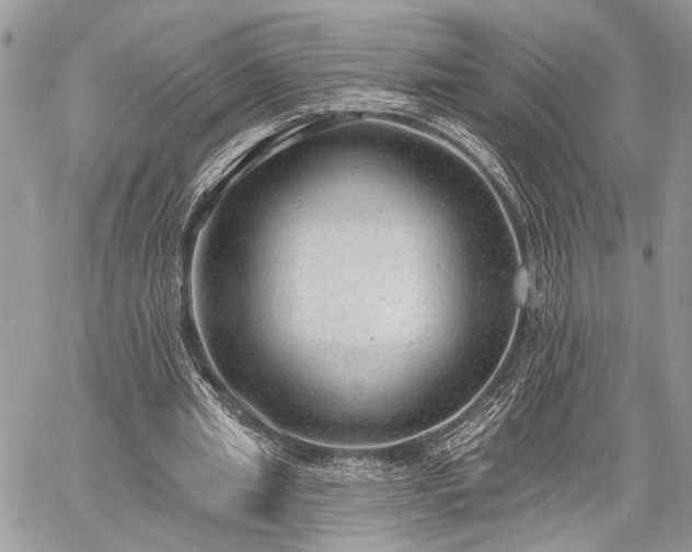 X0000059820437200510241359