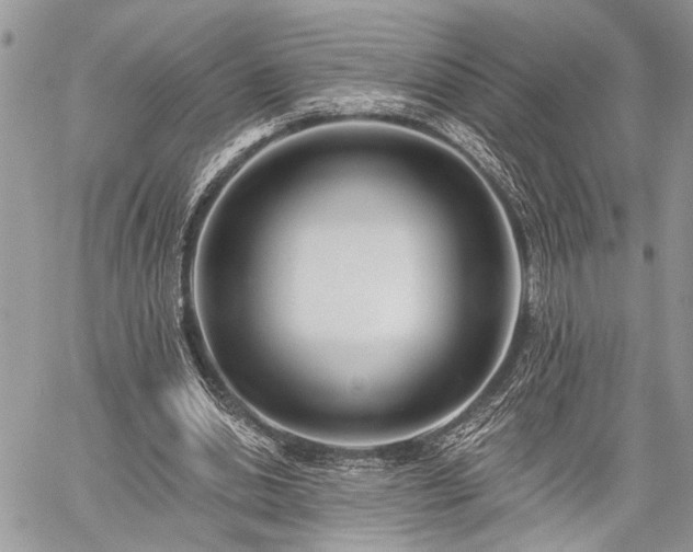 X0000059820438200510241359