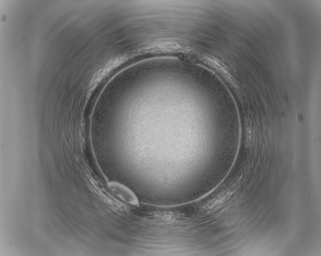 X0000059820439200510241359