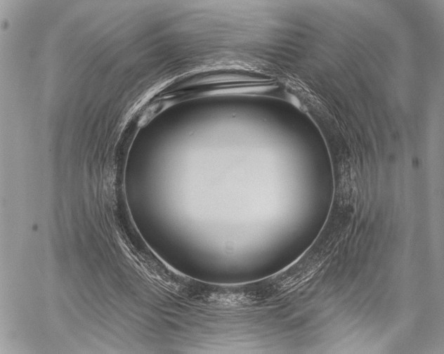 X0000059820440200510241359