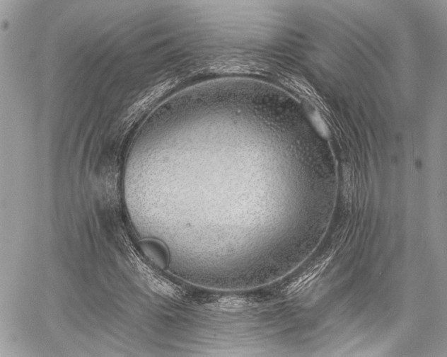 X0000059820441200510241359