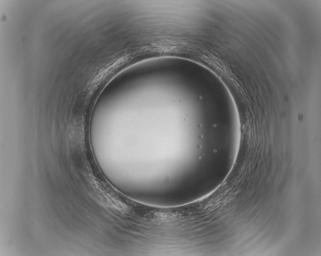 X0000059820442200510241359