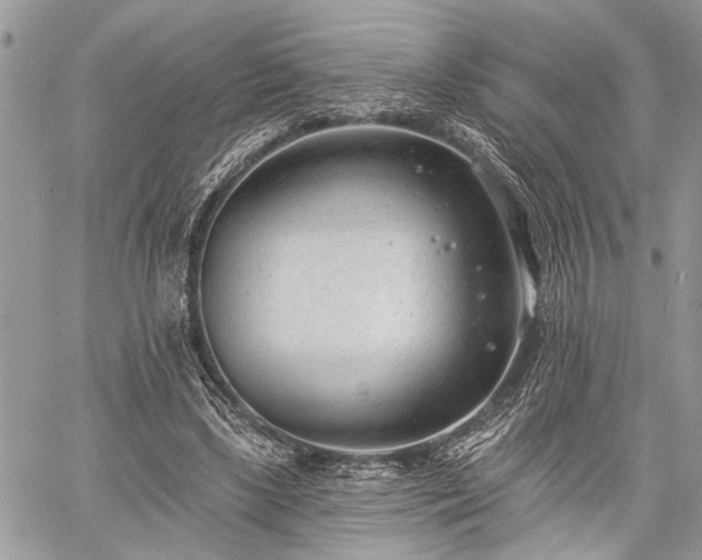 X0000059820443200510241359