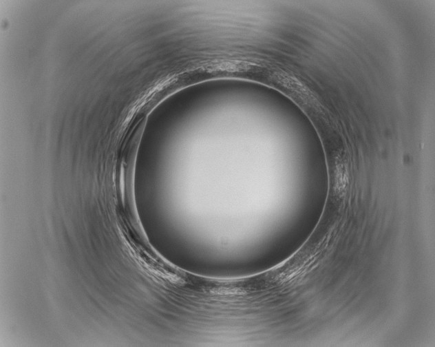 X0000059820444200510241359