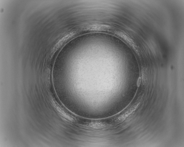 X0000059820445200510241359