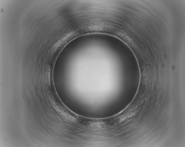 X0000059820446200510241359