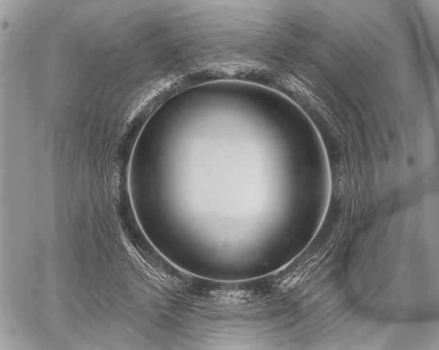 X0000059820448200510241400