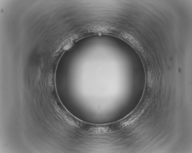 X0000059820449200510241400