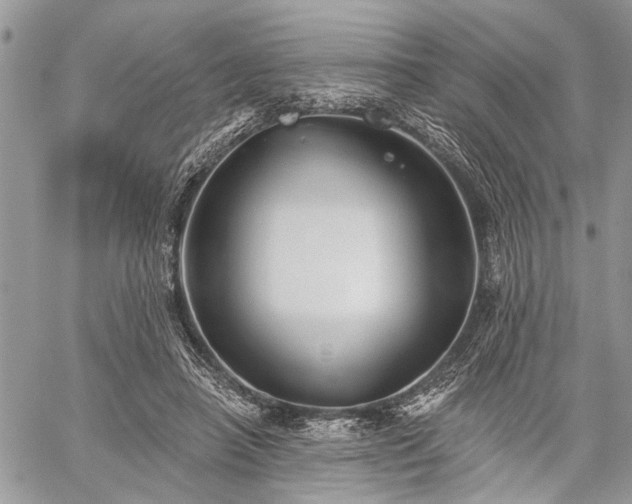 X0000059820450200510241400