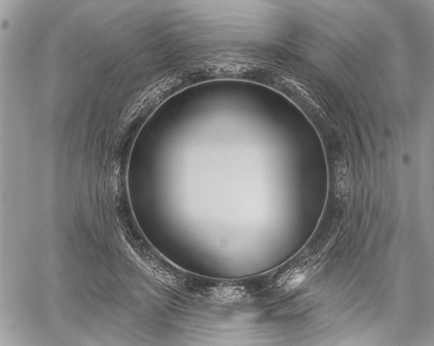 X0000059820451200510241400