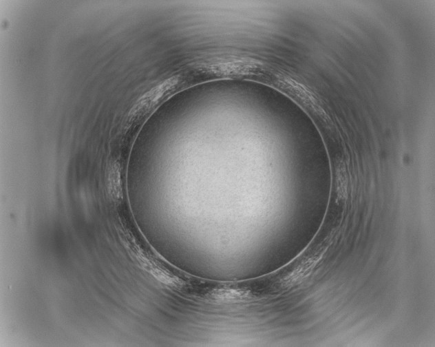 X0000059820453200510241400