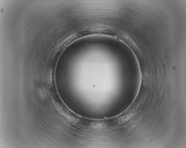 X0000059820454200510241400