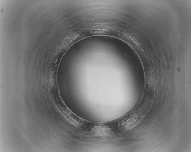 X0000059820455200510241400