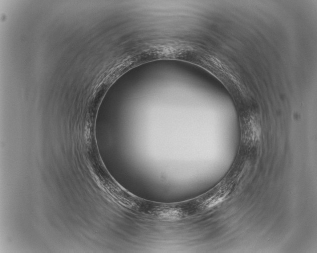 X0000059820456200510241400