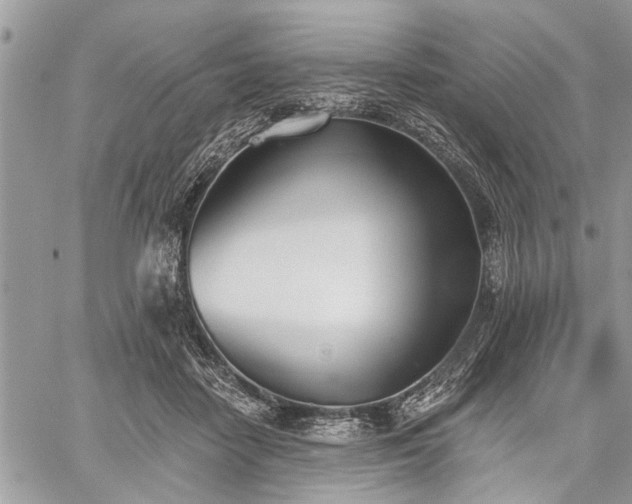 X0000059820458200510241400