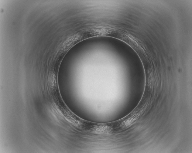 X0000059820459200510241400