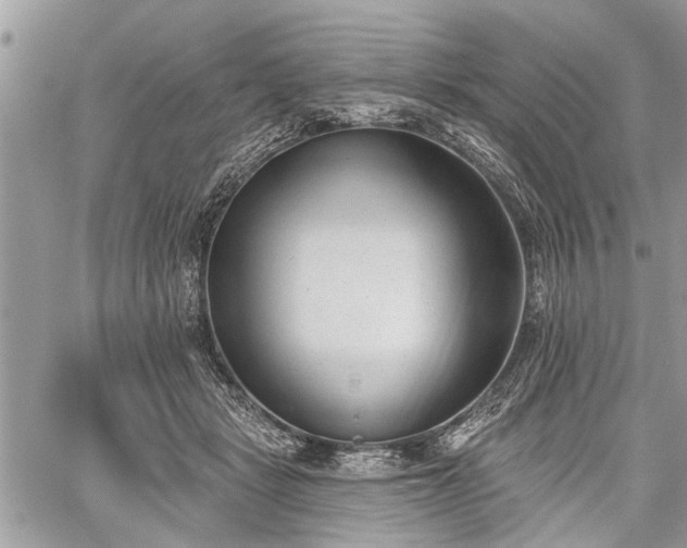 X0000059820461200510241400