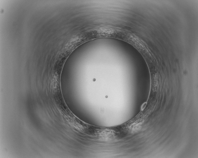 X0000059820463200510241400