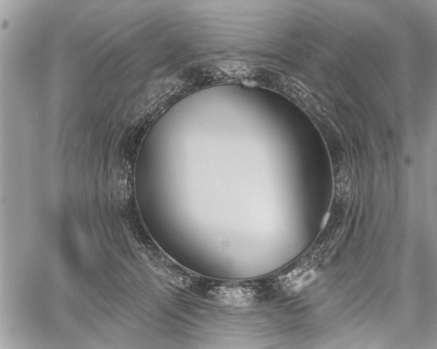 X0000059820464200510241400