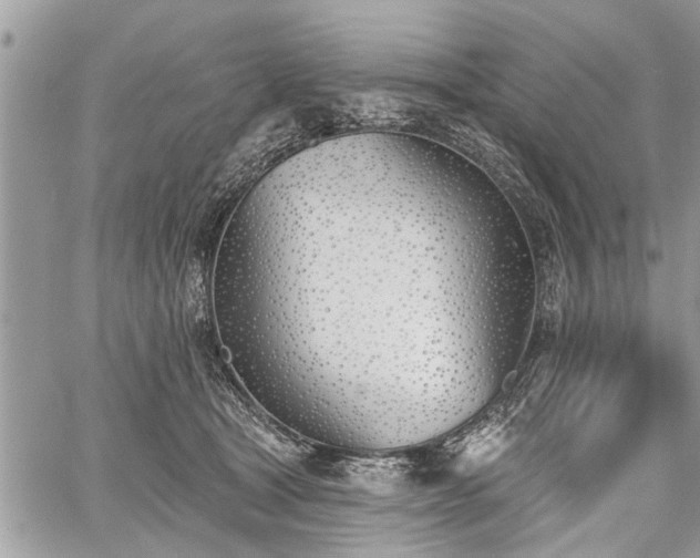 X0000059820465200510241400