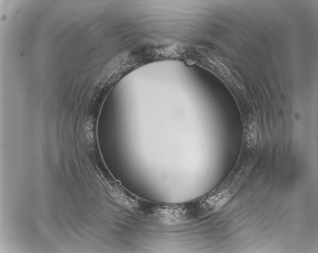 X0000059820466200510241400