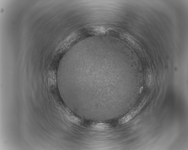 X0000059820467200510241400