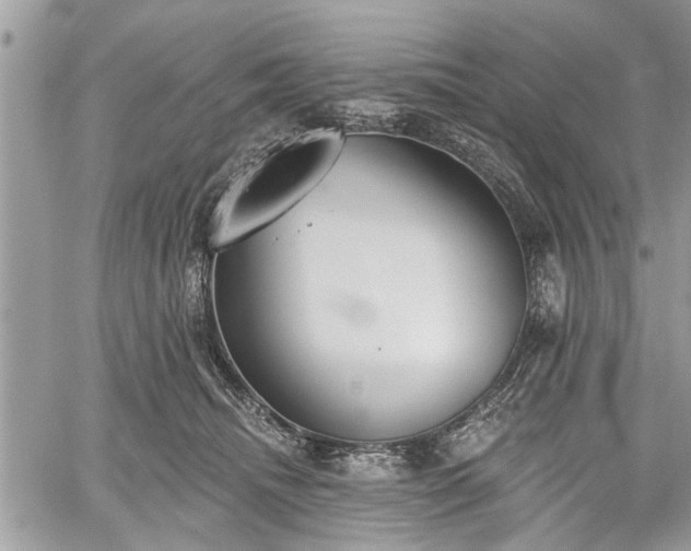 X0000059820468200510241400